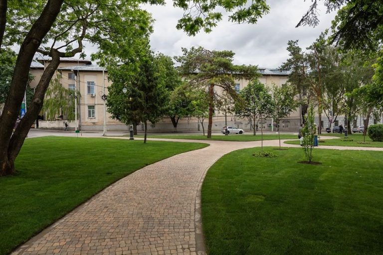 Primăria pregătește noi amenajări cu rulouri de gazon: a fost lansată o licitație