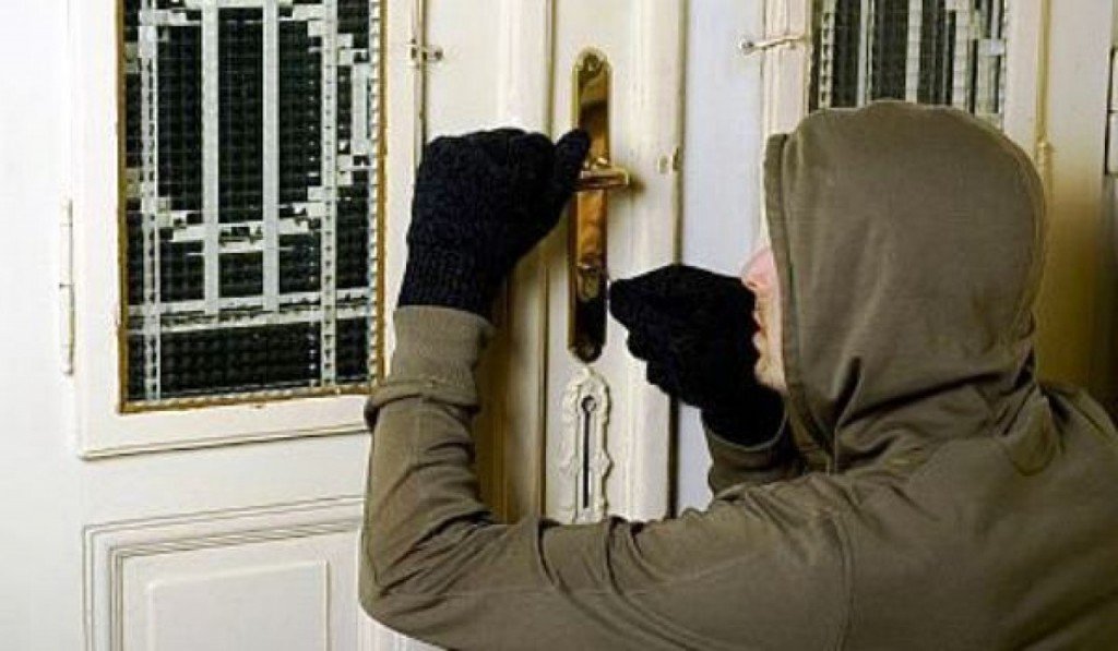  Jaf à la Popricani – Agentul de pază s-a chinuit să distrugă camere video scumpe de la bostănărie ca să fure ceapă, usturoi și o coasă