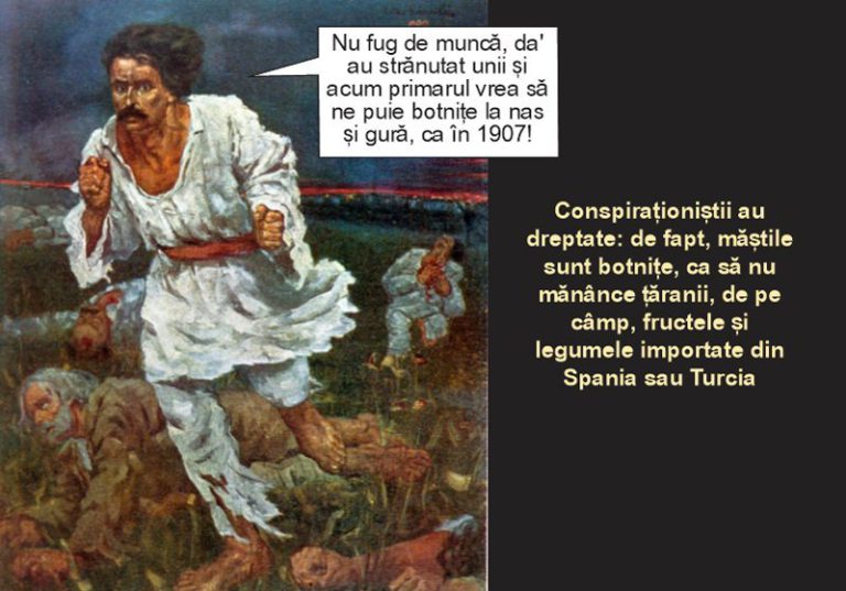 Veşti bune: recoltă de două ori mai mare decât în anii în care n-a ieşit nimic!