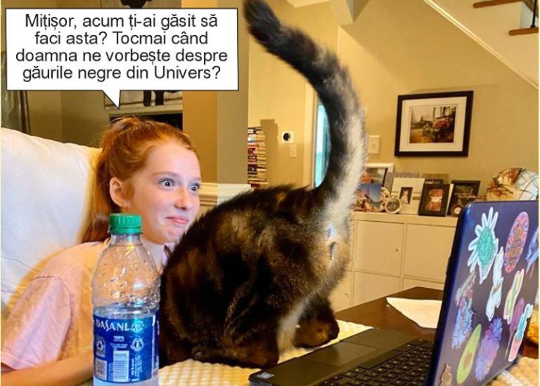 Profesori şi elevi leşinaţi de groază în timpul şcolii on-line!