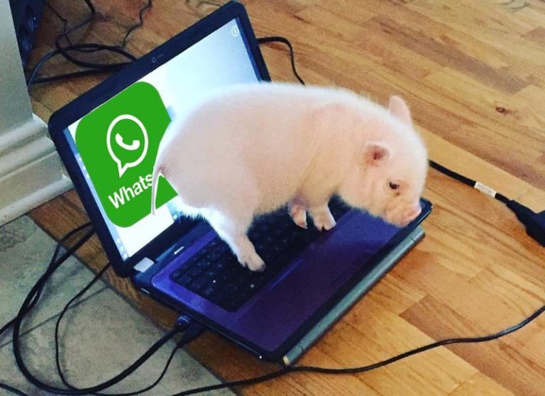 Angajaţii care muncesc online au primit porc şi mezeluri pe WhatsApp