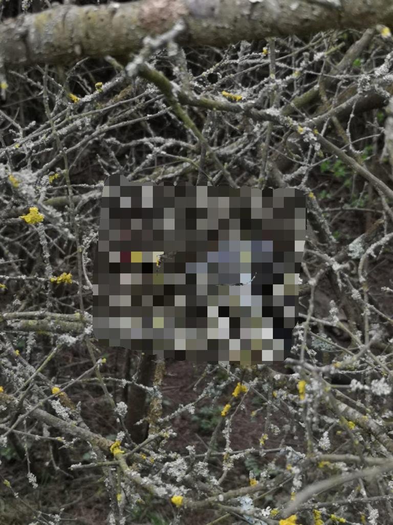  Cadavrul unui copil, descoperit pe un câmp. Pare a fi al băiatului dispărut în ianuarie