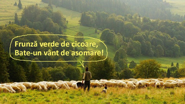 Preocupările de sezon ale românilor: mielul şi rapelul!