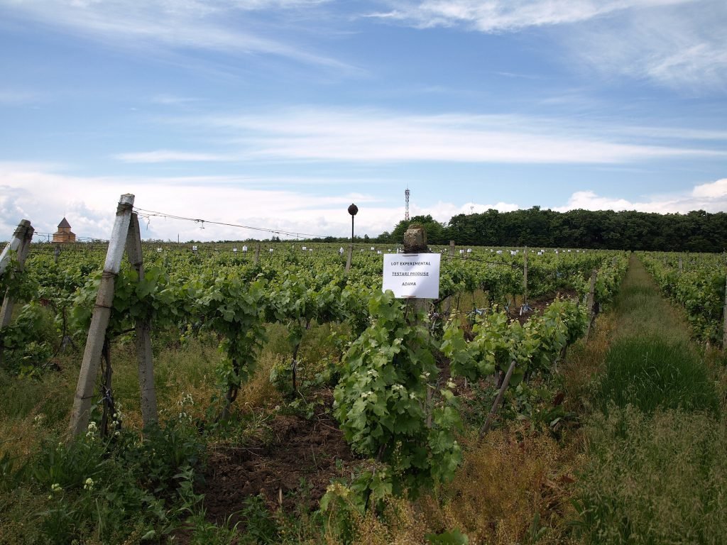  Proces de zeci de milioane în cel mai râvnit cartier al Iașului. Retrocedare cu bucluc