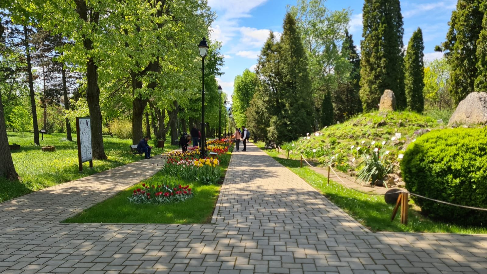 Cum va fi vremea în Moldova în următoarele două săptămâni. Un pic de primăvară
