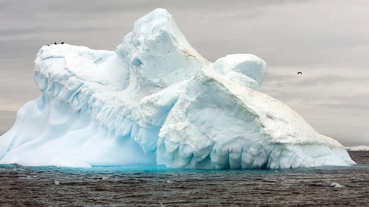 ONU: Ghețarii pierd cantități record de gheață în contextul creșterii temperaturilor globale