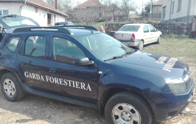 Patru consilieri ai Gărzii Forestiere Suceava şi un pădurar, bănuiți că ar fi cerut şi primit mită de la firme pentru a nu aplica sancţiuni