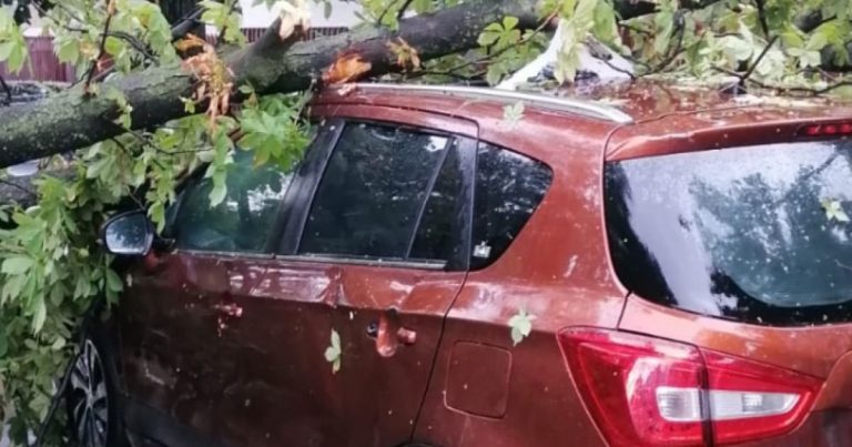 Mașină distrusă pe Copou de un copac doborât de furtună. Cine plătește, dacă mașina era parcată pe interzis?