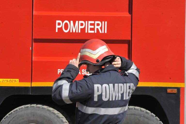Pompieri mobilizați pentru salvarea unei pisici blocate în copac