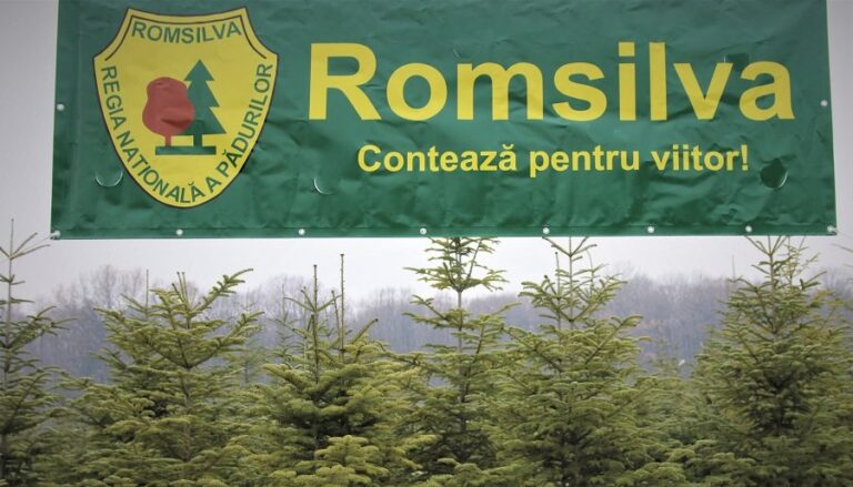 Ministrul Mediului, despre reformarea Romsilva: Performanţa va fi criteriul de bază