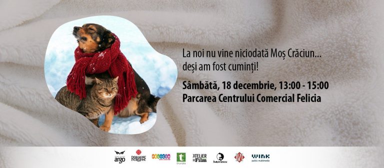 Poți fi Moş Crăciun pentru animalele fără adăpost! „Ai cumva o păturică”?