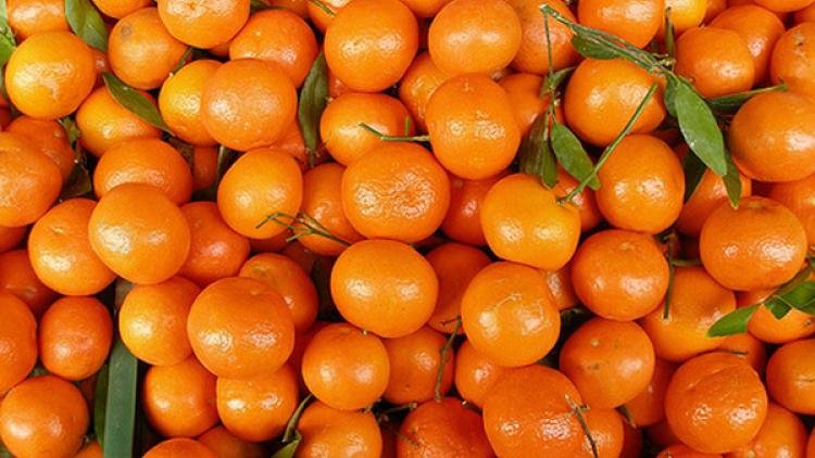 Rusia va accepta mandarine în loc de bani pe fondul dificultăților cu plățile din cauza sancțiunilor occidentale