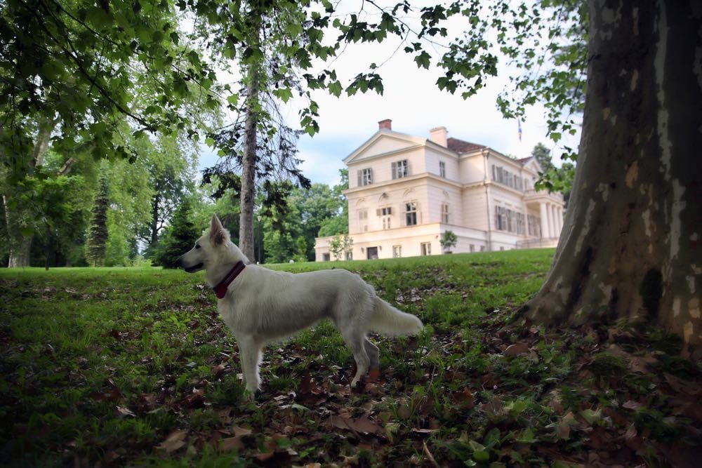  Domeniul Regal Săvârșin își deschide porțile publicului de la 1 mai
