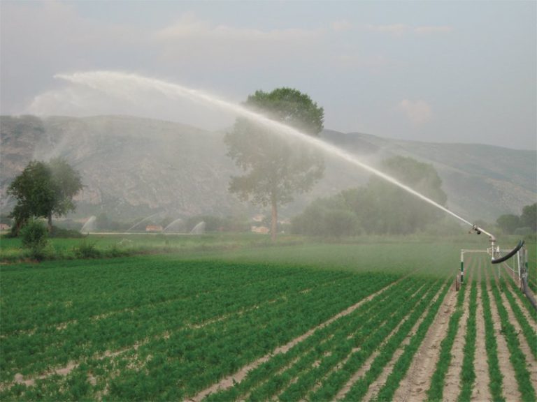 Irigațiile din Iași intră în modernizare: trei mari zone, cu zeci de mii de hectare, sunt vizate. Care sunt acestea