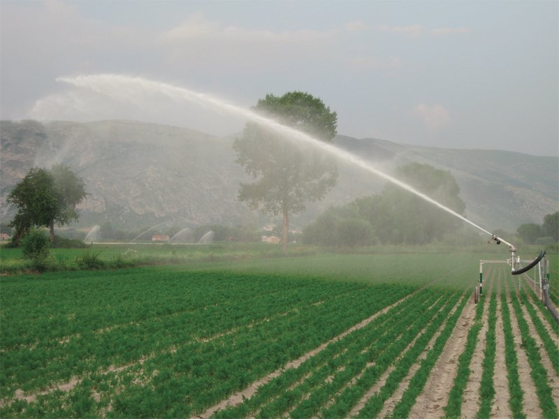 Irigațiile din Iași intră în modernizare: trei mari zone, cu zeci de mii de hectare, sunt vizate. Care sunt acestea