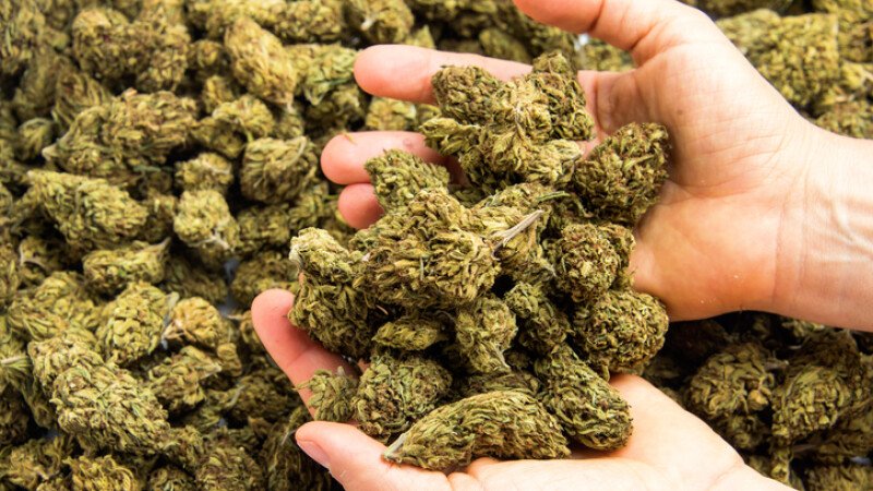 Povestea încâlcită a doi traficanți de droguri pe relația Paris - Târgu Frumos. Până și judecătorii s-au săturat de ei și i-au lăsat în libertate