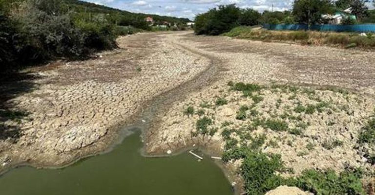 Banca Mondială avertizează asupra crizei globale a apei: „În fiecare secundă pierdem patru piscine olimpice de apă dulce”