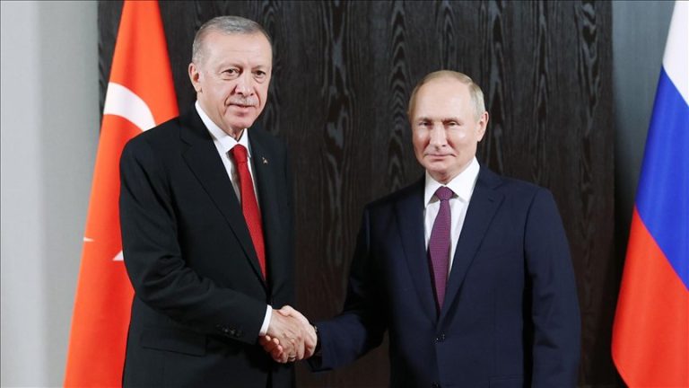 Erdogan spune că în lume au rămas doar doi lideri experimentaţi: el şi Putin