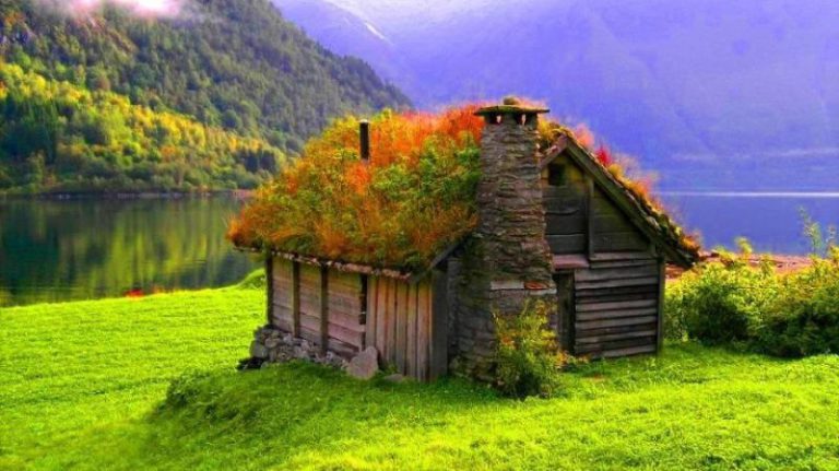 Politicienii nu sunt suficient de ambiţioşi pentru a salva natura, afirmă oamenii de ştiinţă