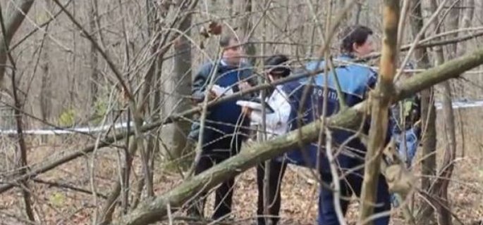 UPDATE: Bătrânul de 83 de ani care plecase la cules de ciuperci a fost găsit. Zeci de jandarmi au răscolit pădurea în căutarea lui