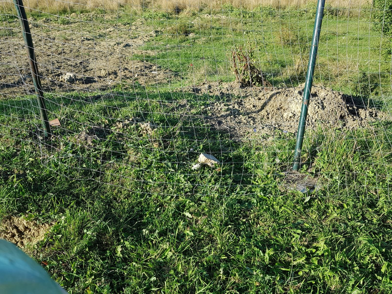  464720_338441_stiri_infiltratii-cimitir-vladiceni-9