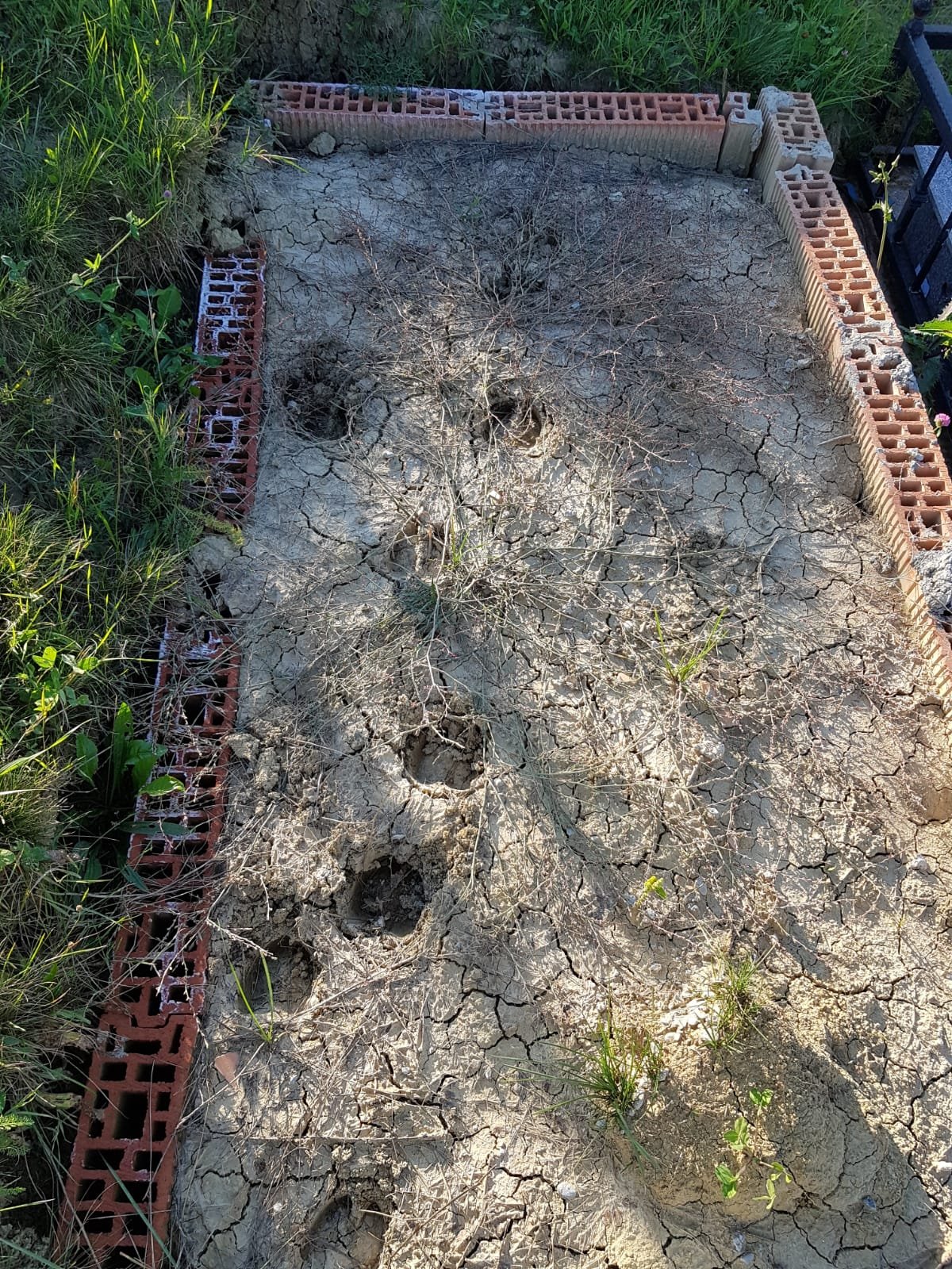  464721_338441_stiri_infiltratii-cimitir-vladiceni-8