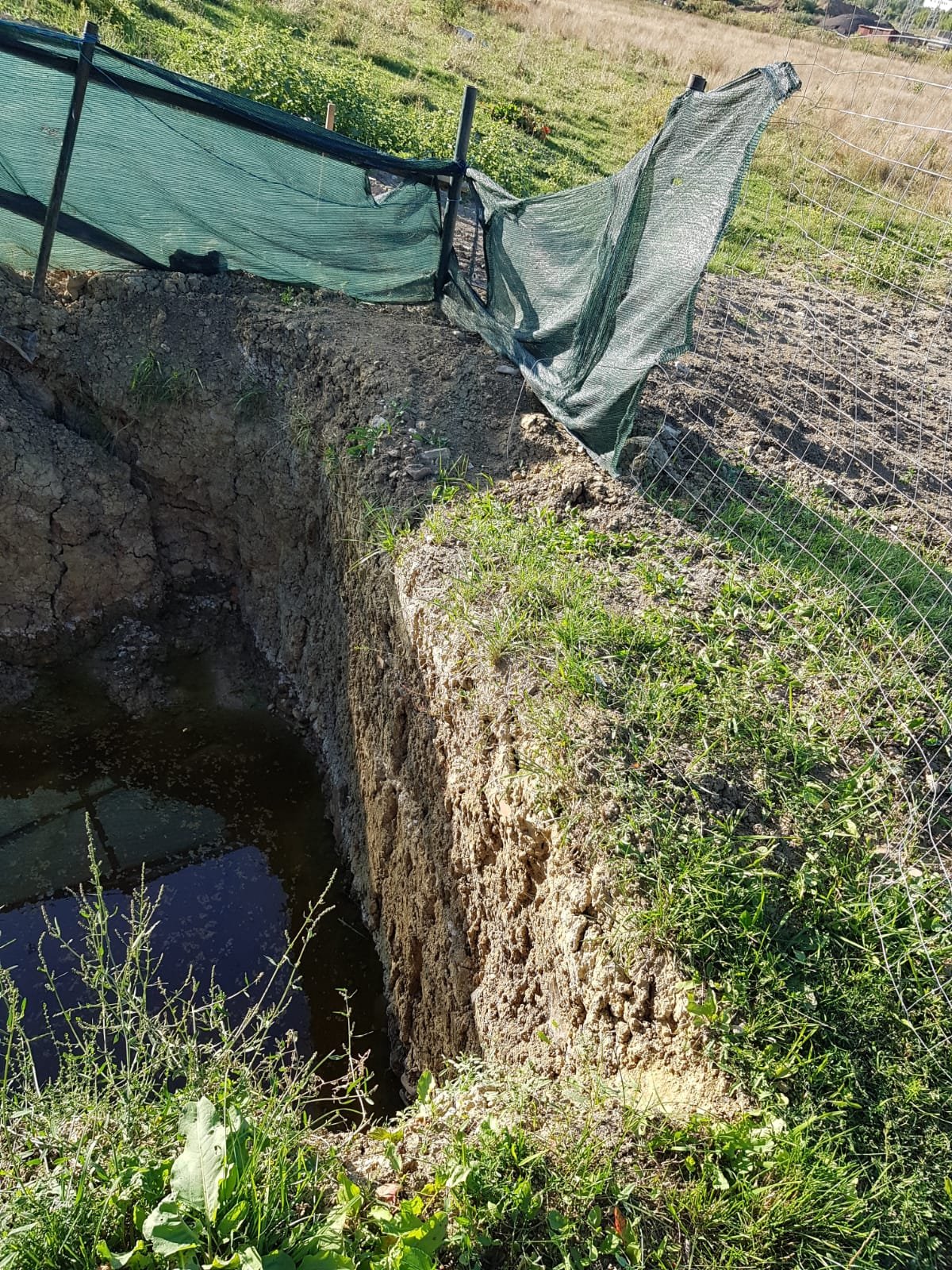  464722_338441_stiri_infiltratii-cimitir-vladiceni-7