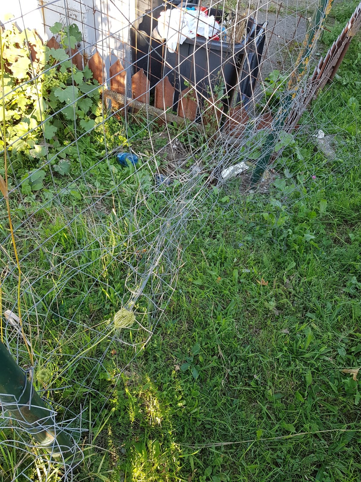  464725_338441_stiri_infiltratii-cimitir-vladiceni-4