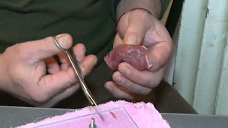 Ce pățesc persoanele care mănâncă carne de porc contaminată cu trichineloză? Cum şi unde poate fi controlată carnea