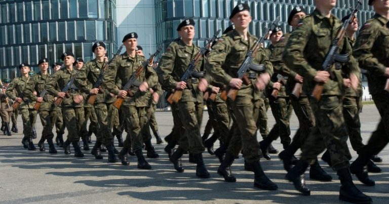 Polonia vrea să formeze până la 100.000 de voluntari pe an, în vederea „construirii unei armate de rezervişti”, anunţă Donald Tusk