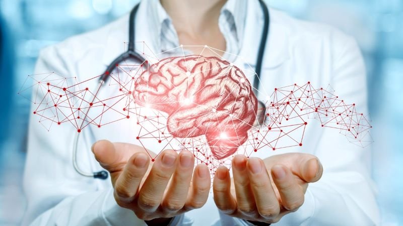 Studiu: Creierul uman are activitate organizată chiar înainte de a primi stimuli din exterior