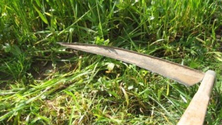 „Moartea” din Hadâmbu: bătaie cu coasa în mijlocul satului. Agresorul a fost căutat zece zile
