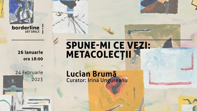  Lucian Brumă – Spune-mi ce vezi: metacolecții