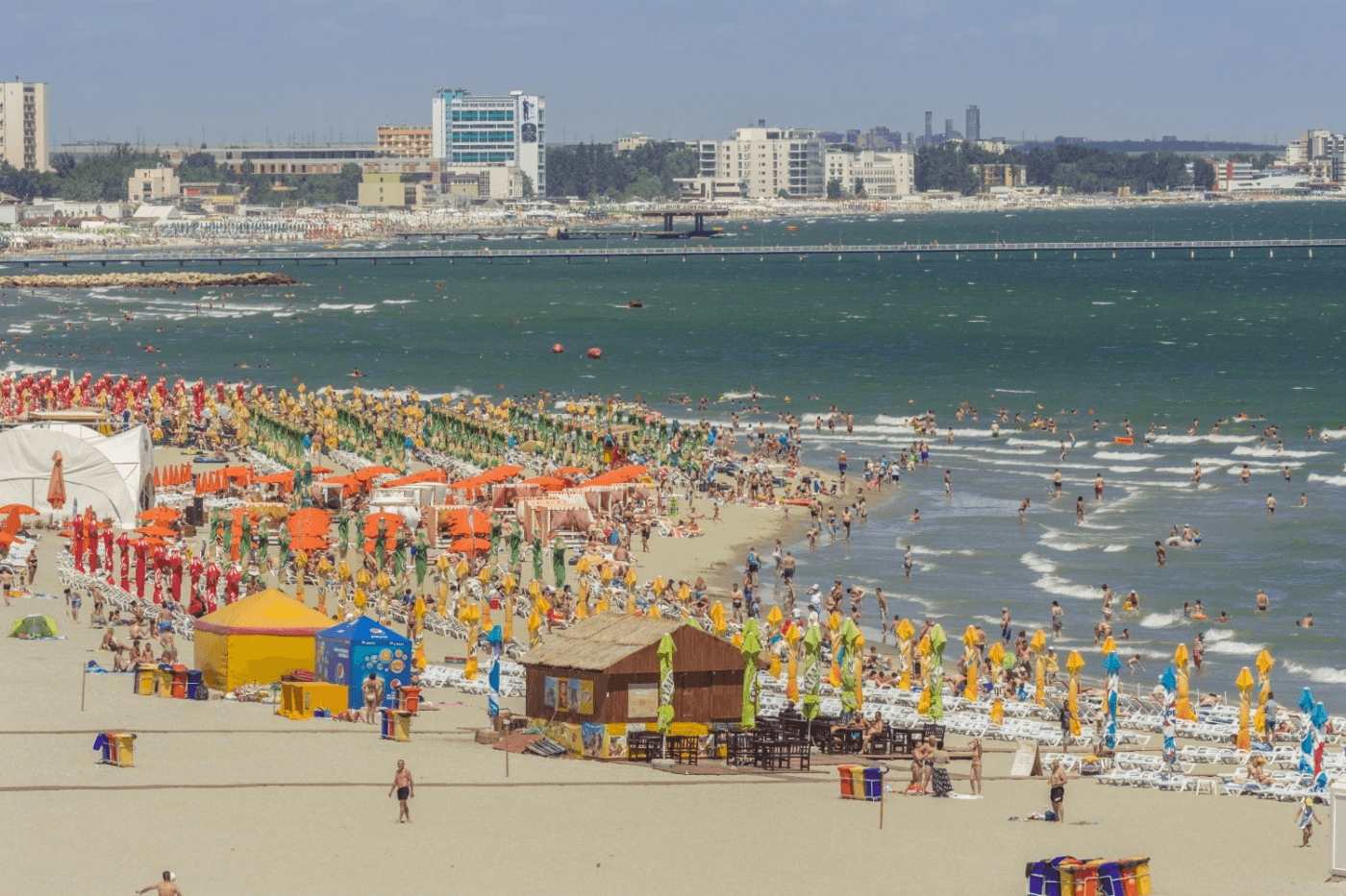 Proprietarul unei pensiuni din Mamaia-Sat, amendat cu 1.200 de lei după ce a provocat scandal şi a lăsat nesupravegheaţi câinii pe holuri