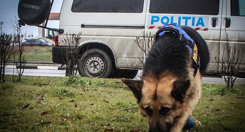 Mobilizare impresionantă de forțe în Sibiu: Doi copii de 11 ani, căutați după ce au plecat după lemne și nu s-au mai întors