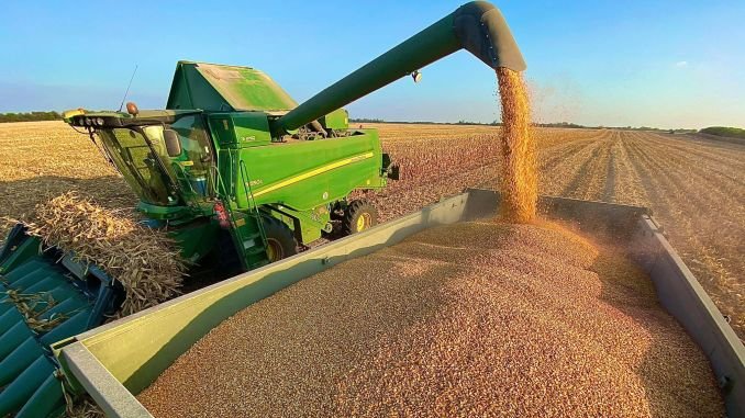  Iașul agricol în 2025: recolte mai bune și suprafețe în ușoară schimbare