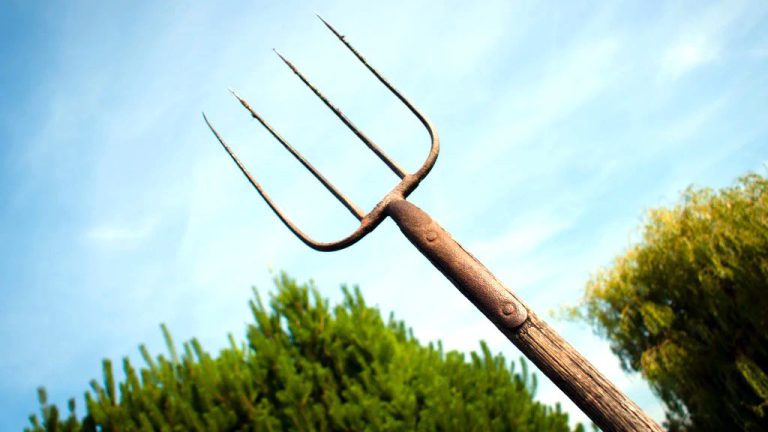 Amenințări cu moartea la Hârlău: bărbat arestat după ce a amenințat doi polițiști cu o furcă și pietre