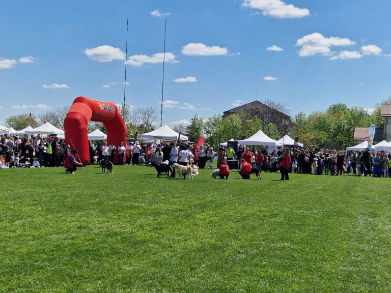 Imagini inedite de la „Animal FEST by USV Iaşi”