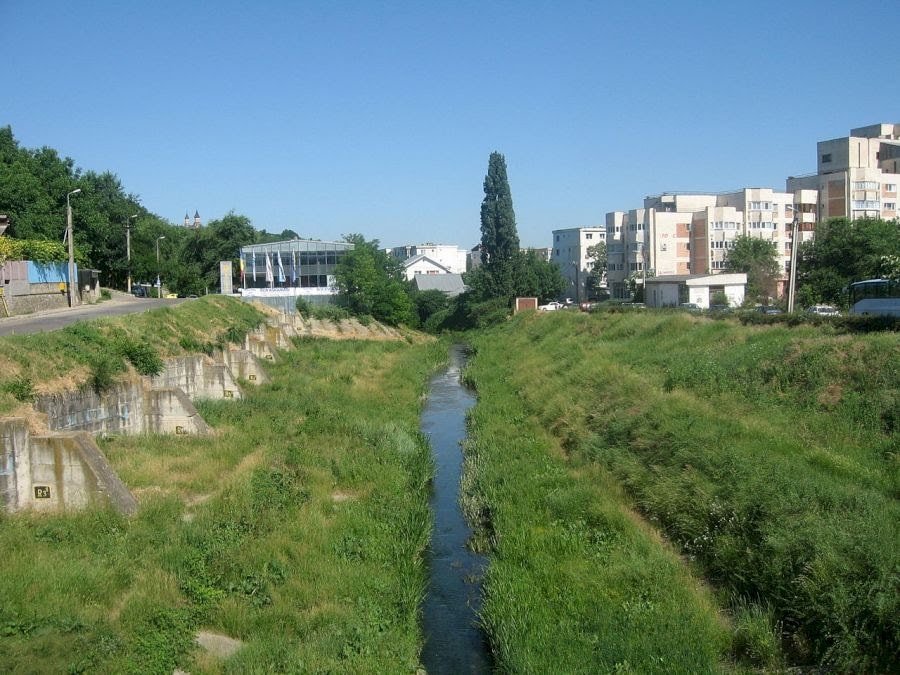 Investitorul ieșean care face pod peste râu din banii lui. Va curăța inclusiv albia râului