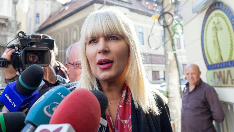 Elena Udrea a obţinut în instanţă deducerea din pedeapsă a mai multor zile executate în arest preventiv şi în arest la domiciliu