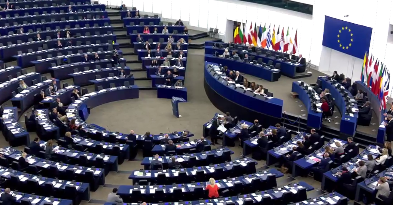  Parlamentul European cere noi alegeri legislative în Georgia