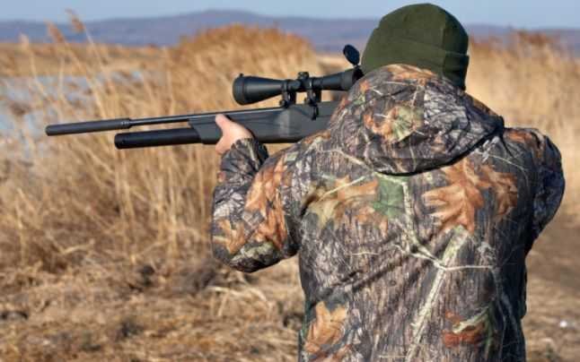  Focuri de armă între un grup de braconieri şi sivicultori pe raza Ocolului Silvic Marginea