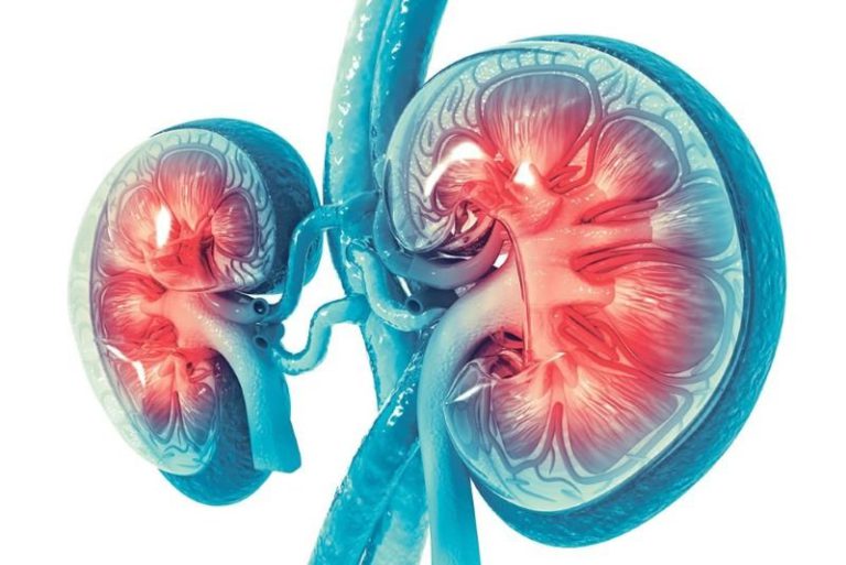 Cercetătorii au identificat un mecanism molecular care poate declanşa o boală autoimună fatală