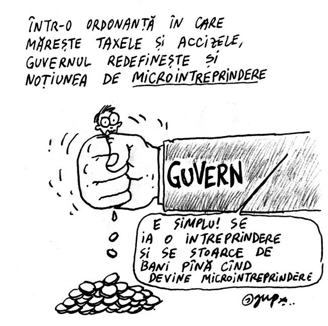 Redefinirea termenului de microintreprindere