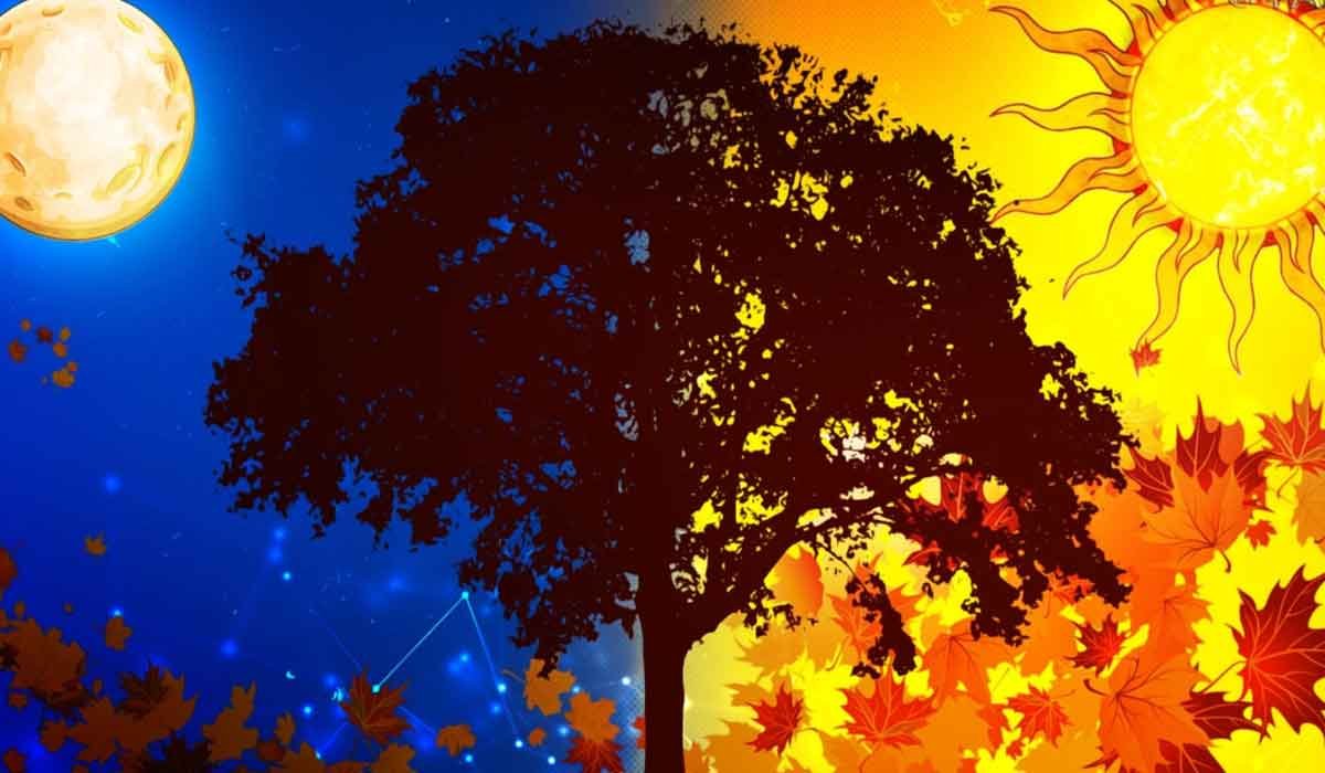 Pe 23 septembrie începe și toamna astronomică. Are loc echinocțiul de toamnă. Crește noaptea, scade ziua