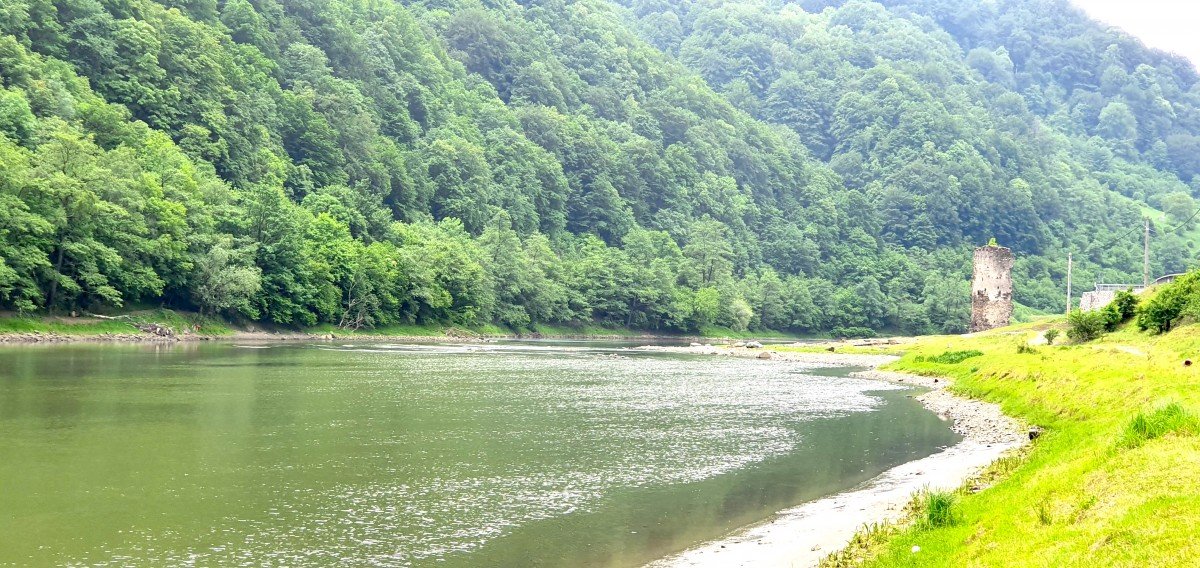  Tranzacție record în numele statului – Romsilva a achiziţionat o pădure de peste 4.000 de hectare din Neamţ