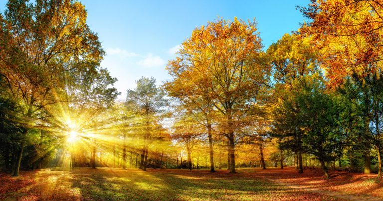 Vremea se va răci începând de miercuri în nordul şi centrul Moldovei. Temperaturi cu până la 15 grade mai scăzute decât în zilele precedente