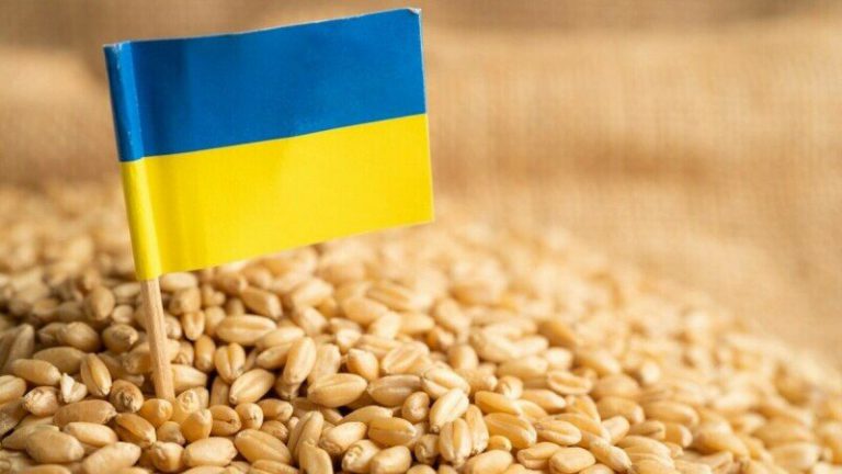 Economia Ucrainei a crescut cu 3,7% în trimestrul doi din 2024. Exporturile au atins nivelul dinaintea războiului