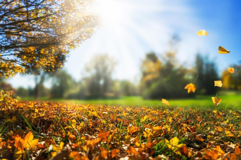 Trei zile cu temperaturi de până la 19 grade. De joi, se răceşte semnificativ şi va ploua sau va ninge