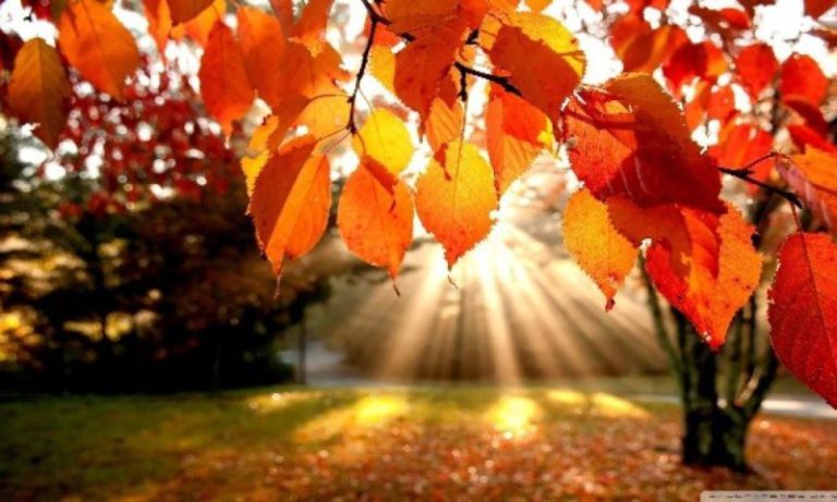 Cum va fi vremea în următoarele săptămâni? ANM: Temperaturi apropiate de cele normale